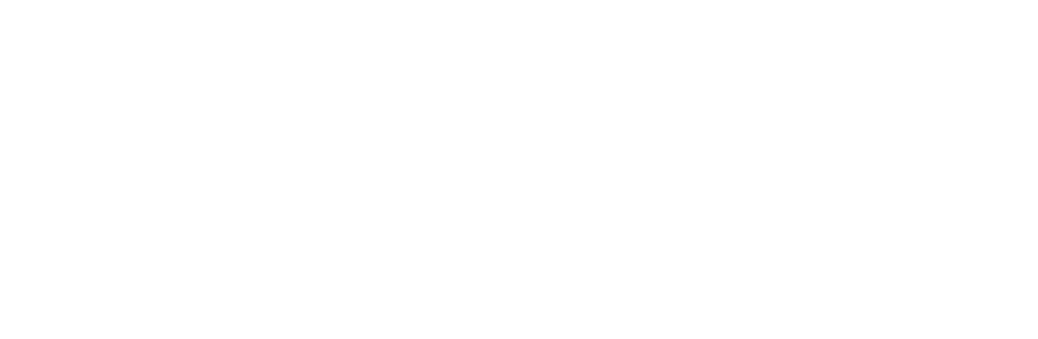 The Executive Council
